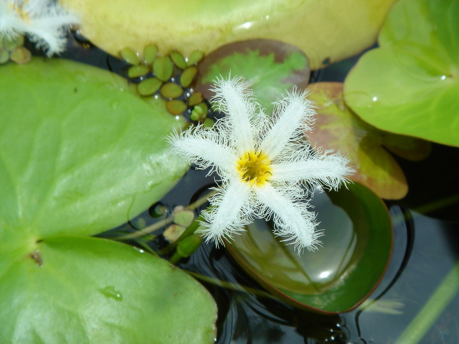 «ö¦¹¦b·sµøµ¡ÂsÄý¹Ï¤ù