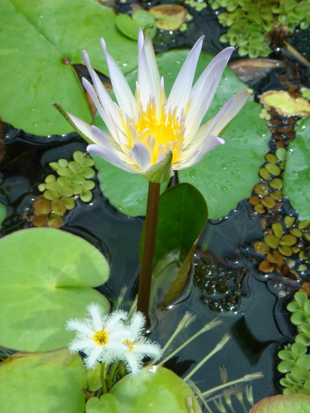 «ö¦¹¦b·sµøµ¡ÂsÄý¹Ï¤ù