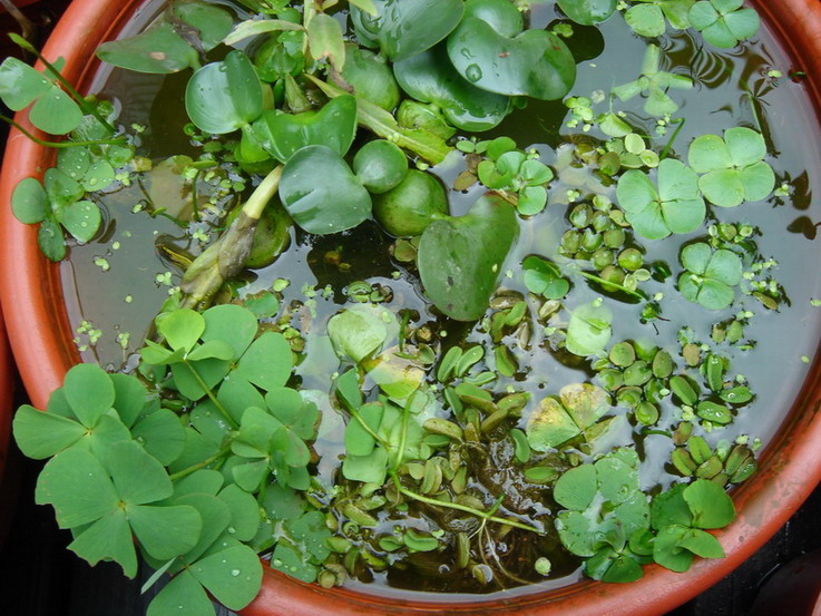 «ö¦¹¦b·sµøµ¡ÂsÄý¹Ï¤ù