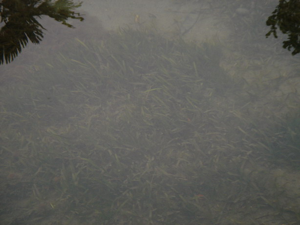 «ö¦¹¦b·sµøµ¡ÂsÄý¹Ï¤ù