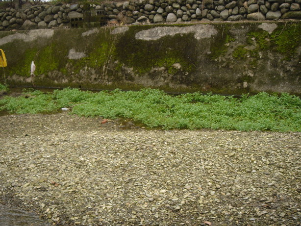 «ö¦¹¦b·sµøµ¡ÂsÄý¹Ï¤ù