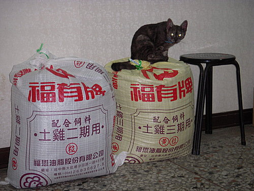 按此在新視窗瀏覽圖片