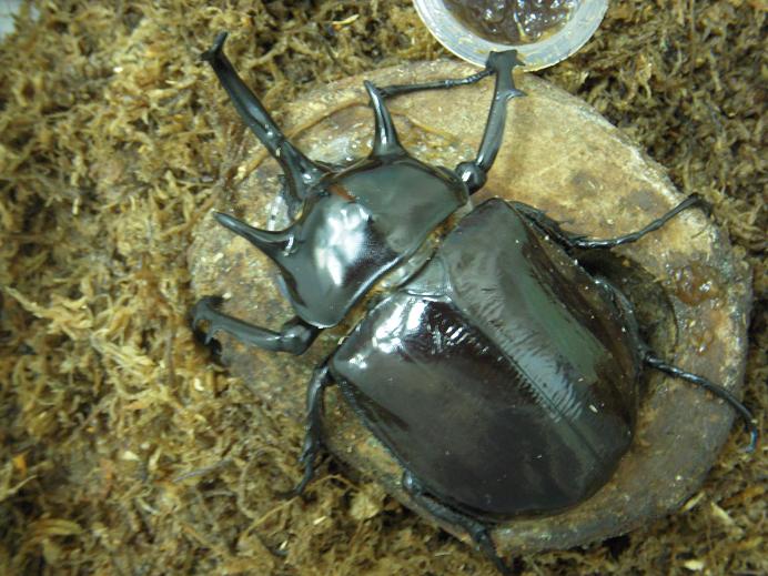 按此在新視窗瀏覽圖片