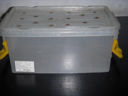 按此在新視窗瀏覽圖片