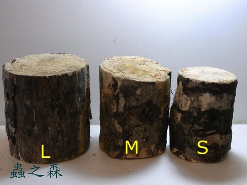 «ö¦¹¦b·sµøµ¡ÂsÄý¹Ï¤ù