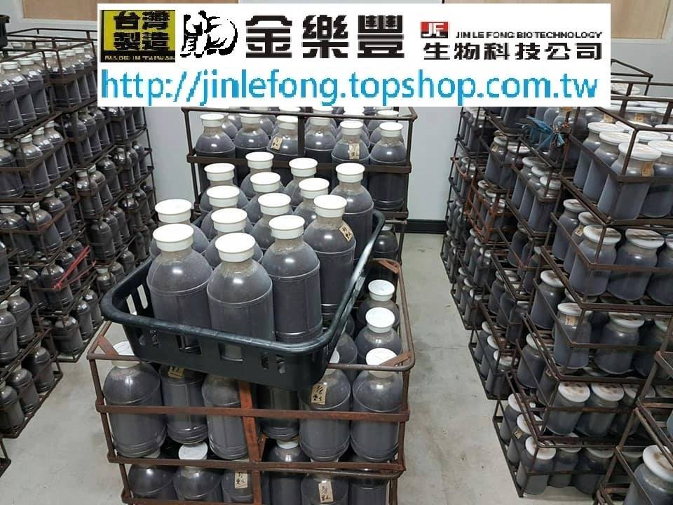 «ö¦¹¦b·sµøµ¡ÂsÄý¹Ï¤ù