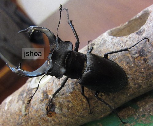 按此在新視窗瀏覽圖片