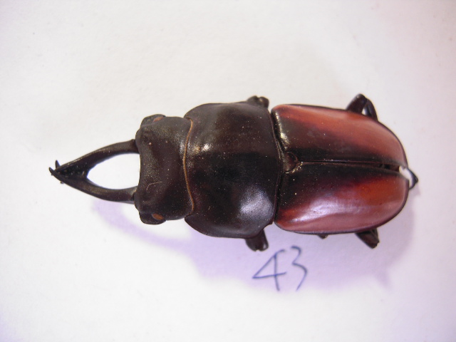 «ö¦¹¦b·sµøµ¡ÂsÄý¹Ï¤ù