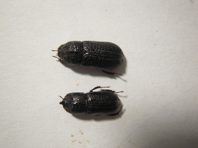 «ö¦¹¦b·sµøµ¡ÂsÄý¹Ï¤ù