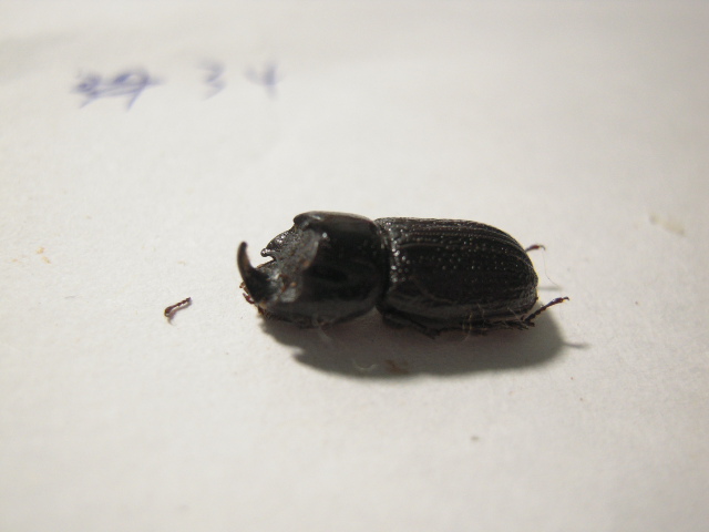 «ö¦¹¦b·sµøµ¡ÂsÄý¹Ï¤ù