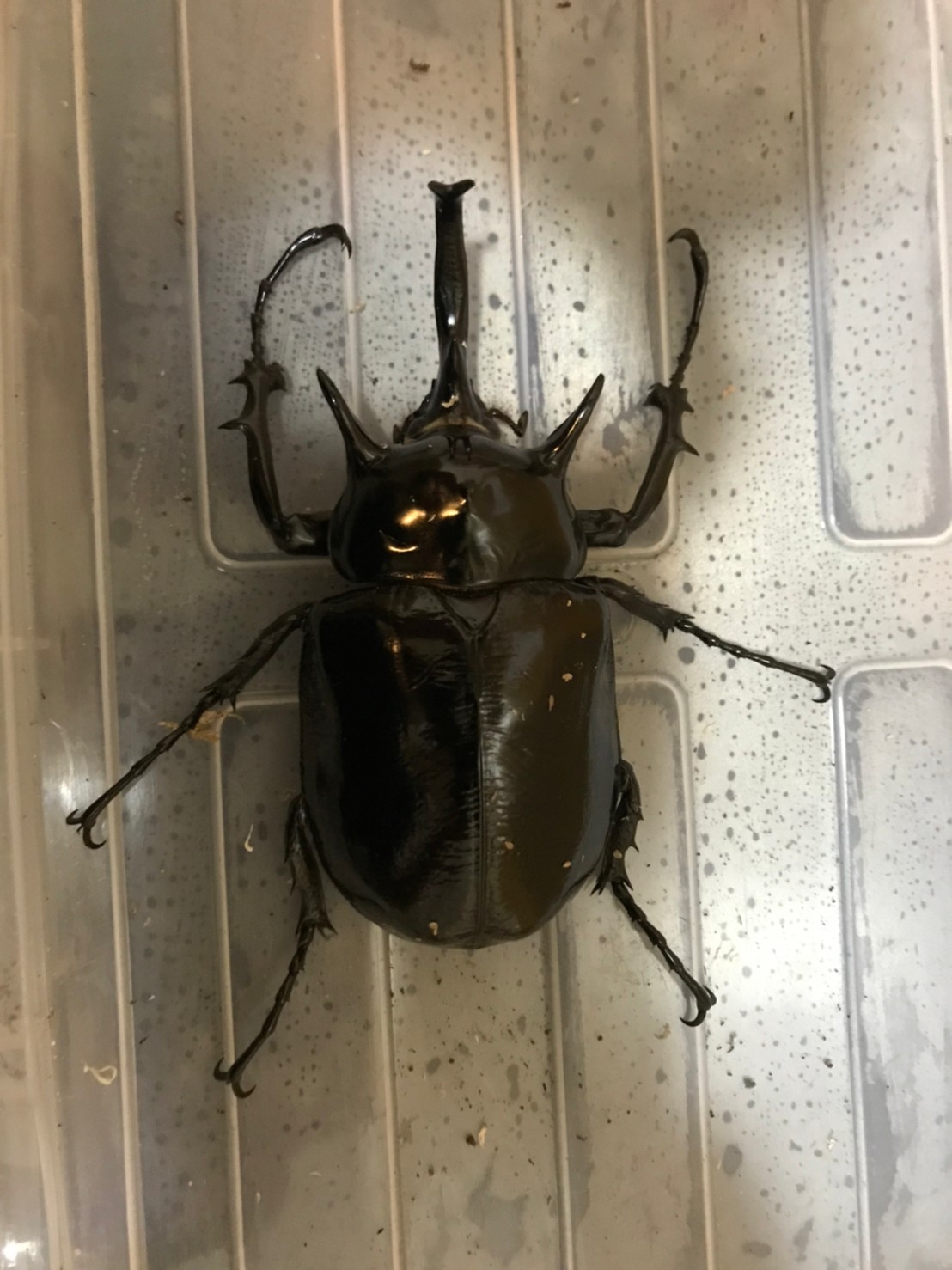 «ö¦¹¦b·sµøµ¡ÂsÄý¹Ï¤ù