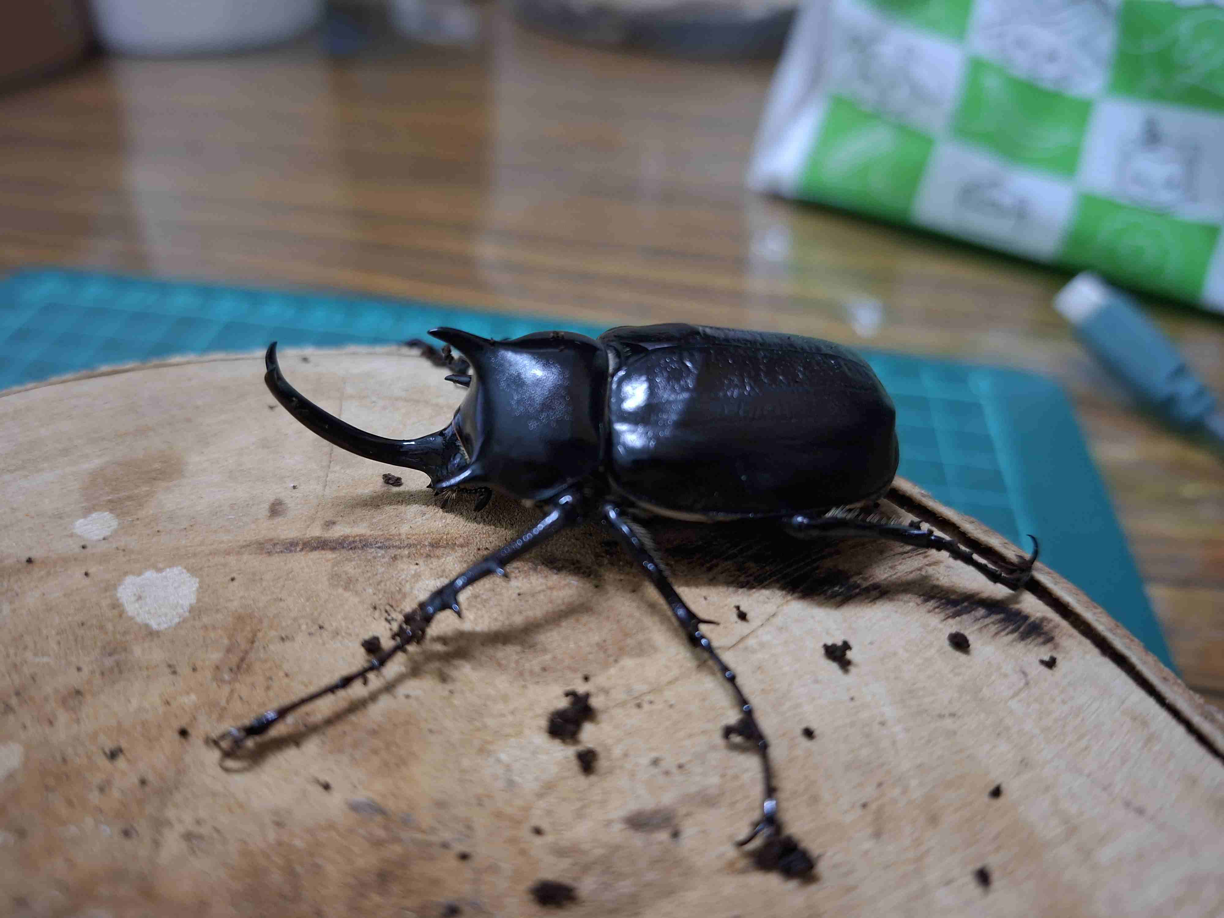 按此在新視窗瀏覽圖片