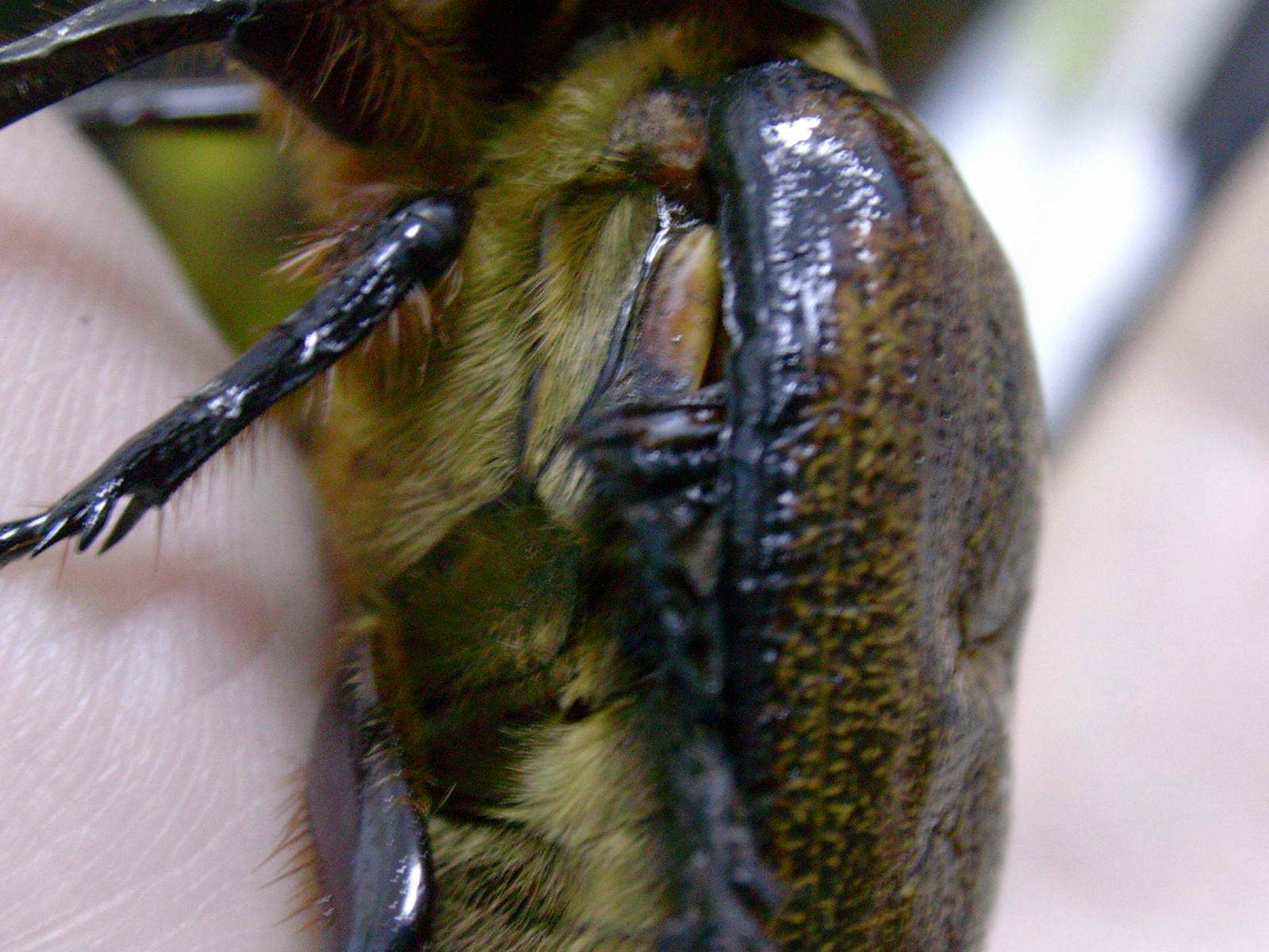 按此在新視窗瀏覽圖片