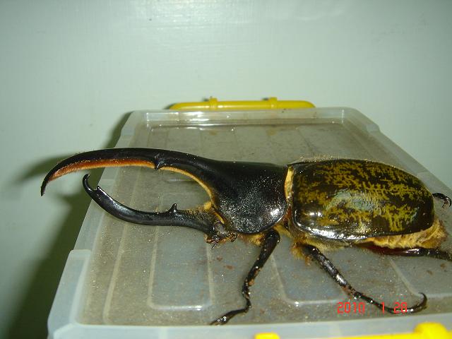 按此在新視窗瀏覽圖片