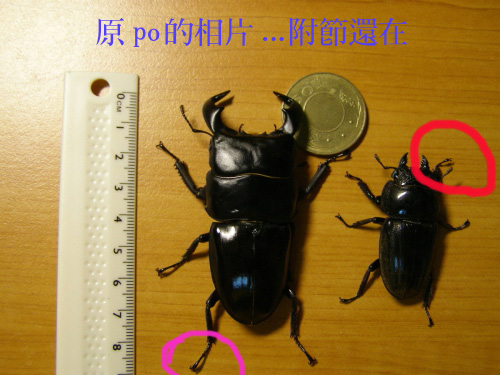 «ö¦¹¦b·sµøµ¡ÂsÄý¹Ï¤ù