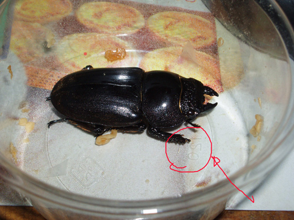 «ö¦¹¦b·sµøµ¡ÂsÄý¹Ï¤ù