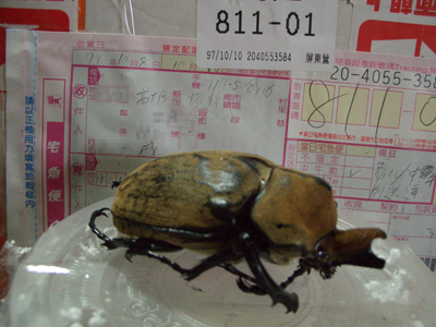 «ö¦¹¦b·sµøµ¡ÂsÄý¹Ï¤ù