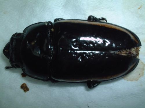 «ö¦¹¦b·sµøµ¡ÂsÄý¹Ï¤ù