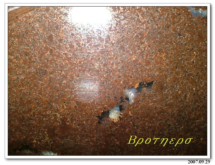 «ö¦¹¦b·sµøµ¡ÂsÄý¹Ï¤ù