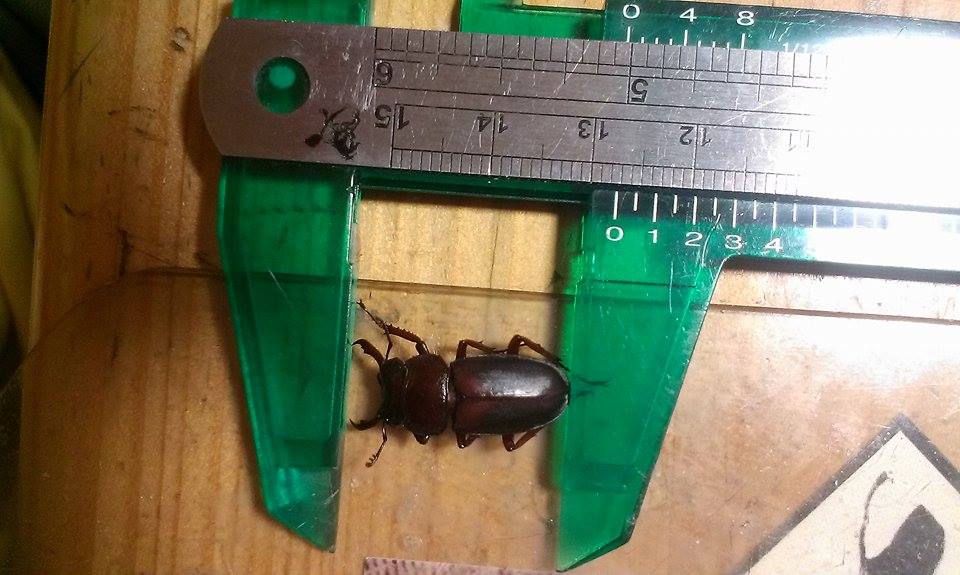 按此在新視窗瀏覽圖片