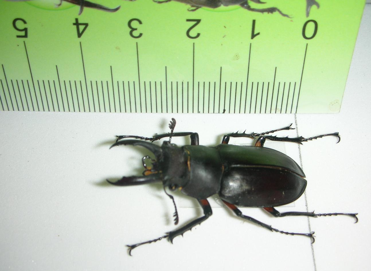 按此在新視窗瀏覽圖片