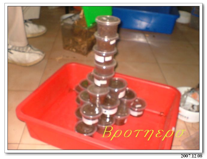 «ö¦¹¦b·sµøµ¡ÂsÄý¹Ï¤ù