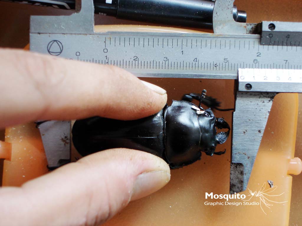 «ö¦¹¦b·sµøµ¡ÂsÄý¹Ï¤ù