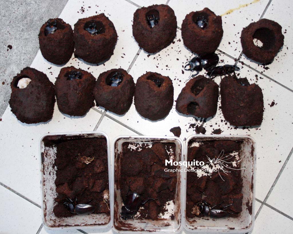 «ö¦¹¦b·sµøµ¡ÂsÄý¹Ï¤ù