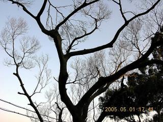 «ö¦¹¦b·sµøµ¡ÂsÄý¹Ï¤ù