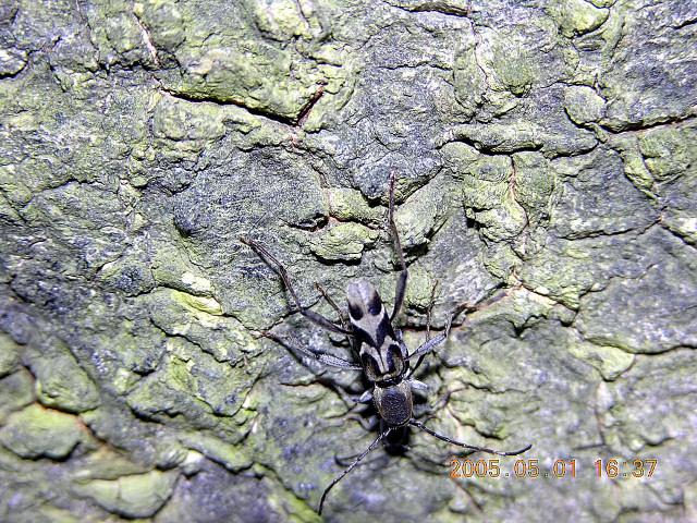 «ö¦¹¦b·sµøµ¡ÂsÄý¹Ï¤ù