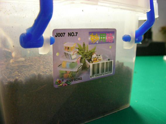 按此在新視窗瀏覽圖片