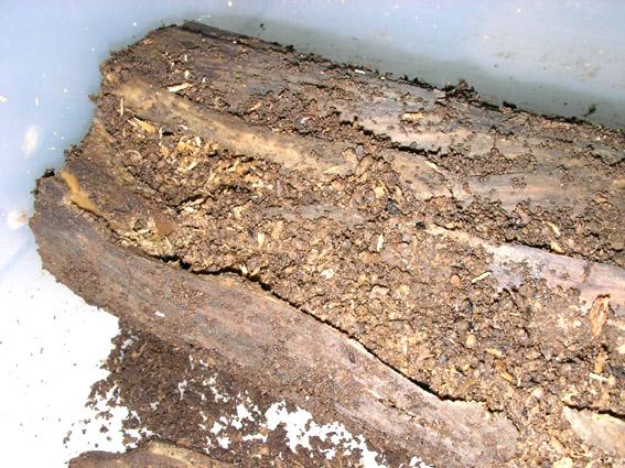 «ö¦¹¦b·sµøµ¡ÂsÄý¹Ï¤ù