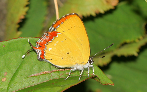 «ö¦¹¦b·sµøµ¡ÂsÄý¹Ï¤ù