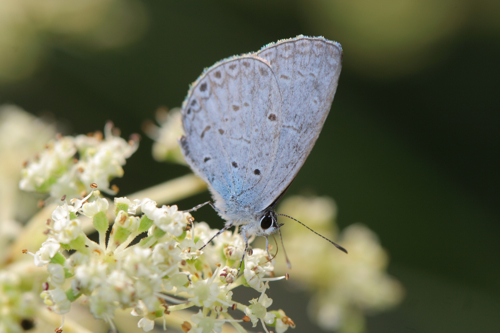 «ö¦¹¦b·sµøµ¡ÂsÄý¹Ï¤ù