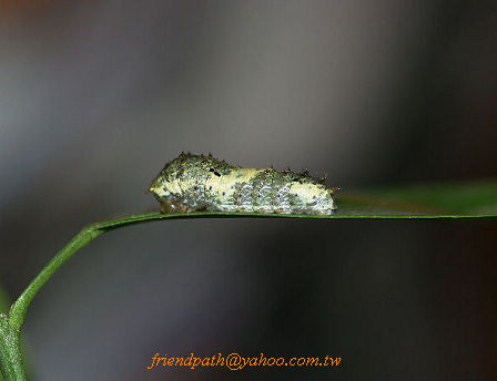 «ö¦¹¦b·sµøµ¡ÂsÄý¹Ï¤ù