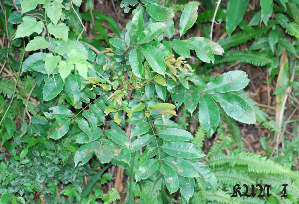 «ö¦¹¦b·sµøµ¡ÂsÄý¹Ï¤ù