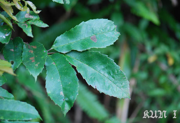 «ö¦¹¦b·sµøµ¡ÂsÄý¹Ï¤ù