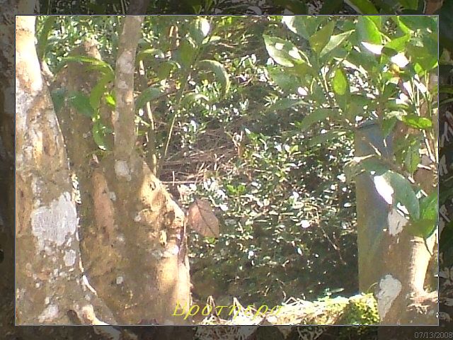 «ö¦¹¦b·sµøµ¡ÂsÄý¹Ï¤ù