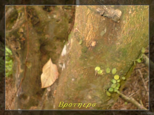 «ö¦¹¦b·sµøµ¡ÂsÄý¹Ï¤ù