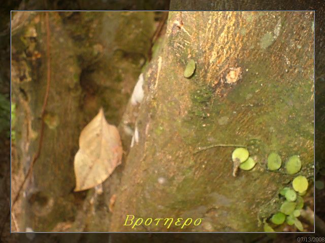 «ö¦¹¦b·sµøµ¡ÂsÄý¹Ï¤ù