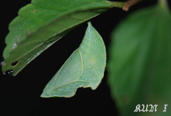 «ö¦¹¦b·sµøµ¡ÂsÄý¹Ï¤ù