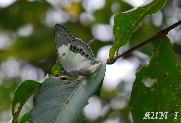 «ö¦¹¦b·sµøµ¡ÂsÄý¹Ï¤ù