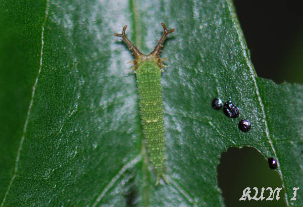 «ö¦¹¦b·sµøµ¡ÂsÄý¹Ï¤ù