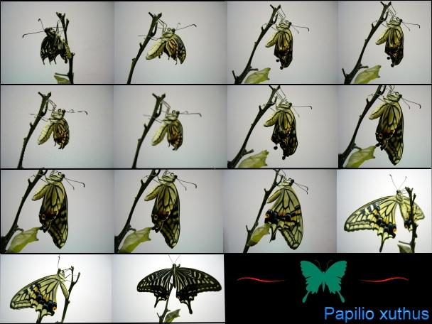 «ö¦¹¦b·sµøµ¡ÂsÄý¹Ï¤ù