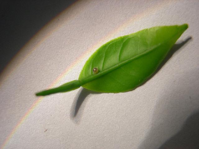 «ö¦¹¦b·sµøµ¡ÂsÄý¹Ï¤ù