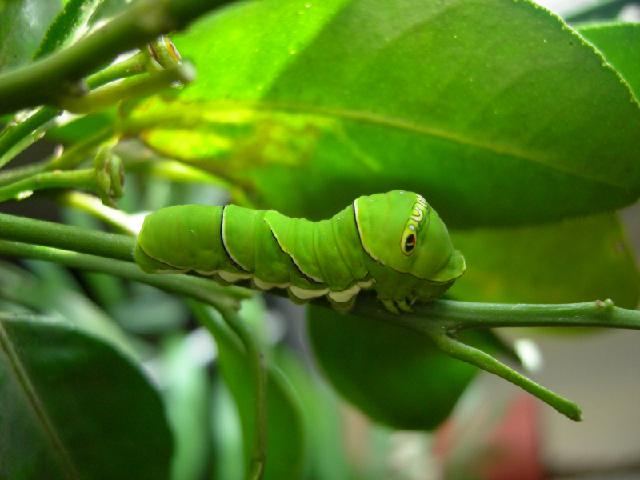 «ö¦¹¦b·sµøµ¡ÂsÄý¹Ï¤ù