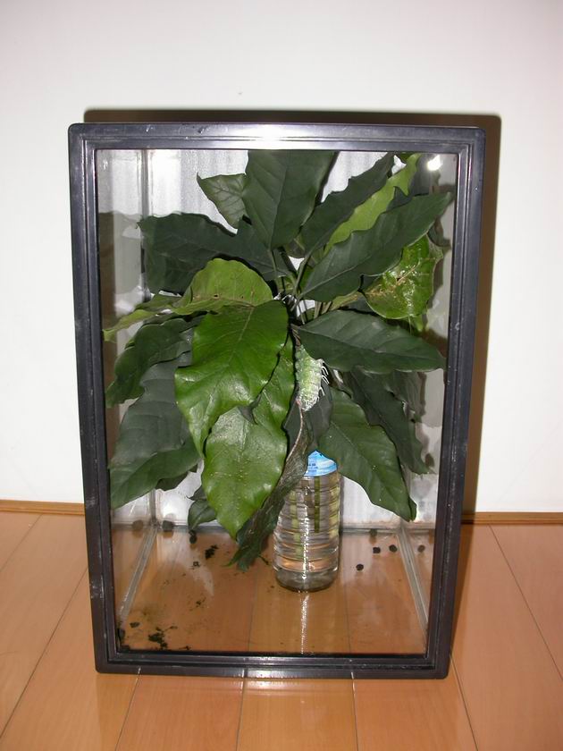 按此在新視窗瀏覽圖片