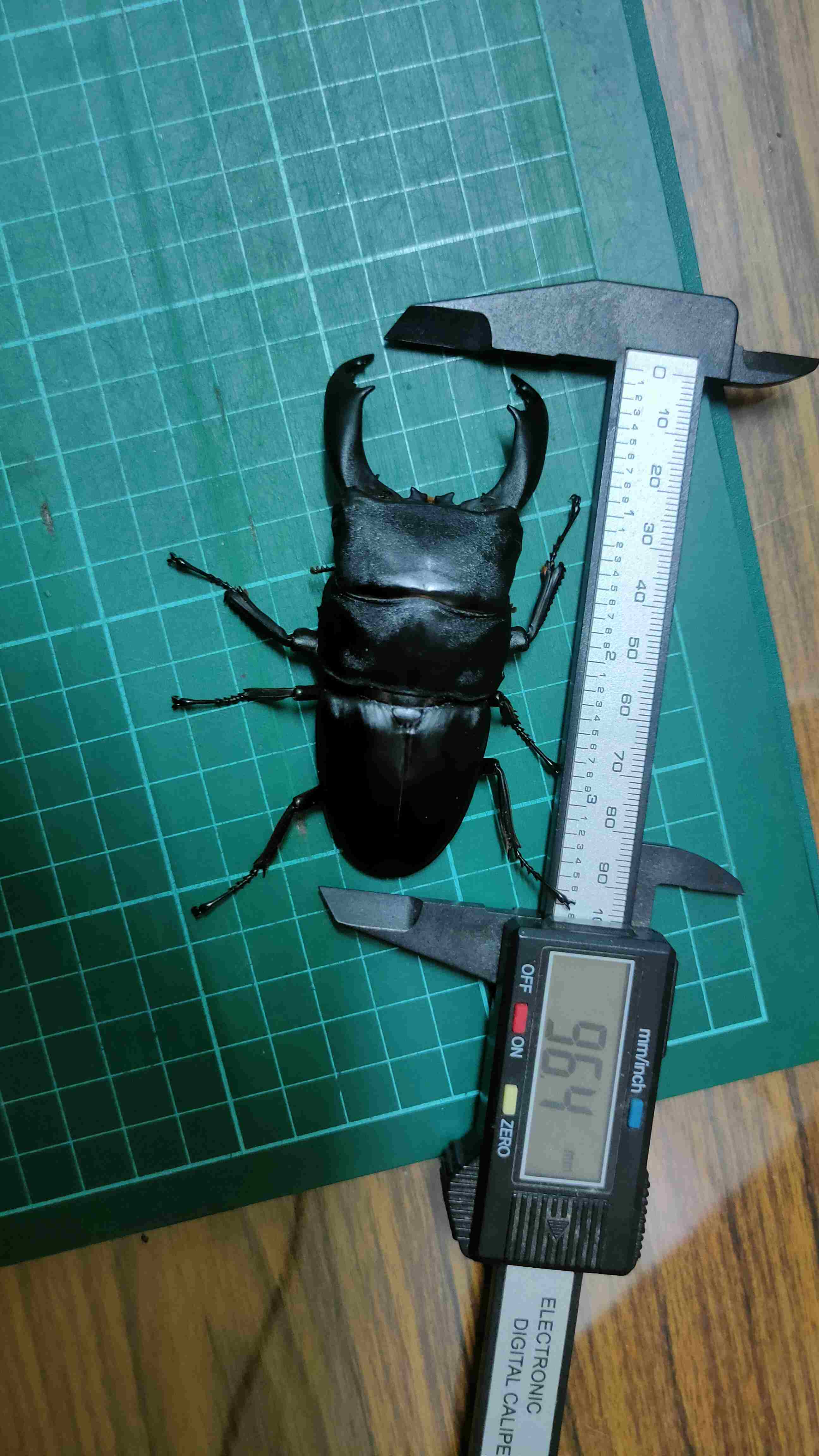 按此在新視窗瀏覽圖片