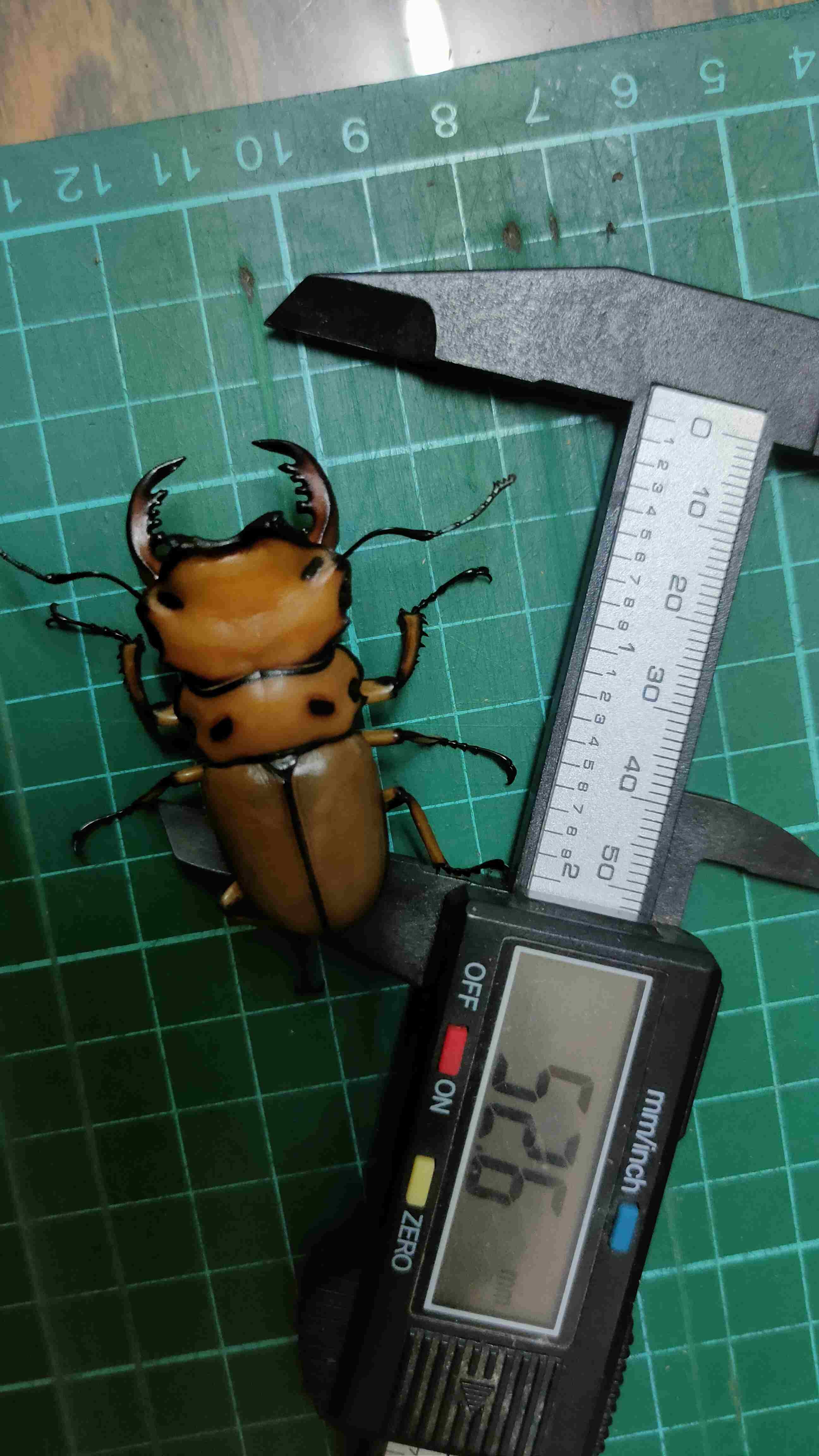 按此在新視窗瀏覽圖片