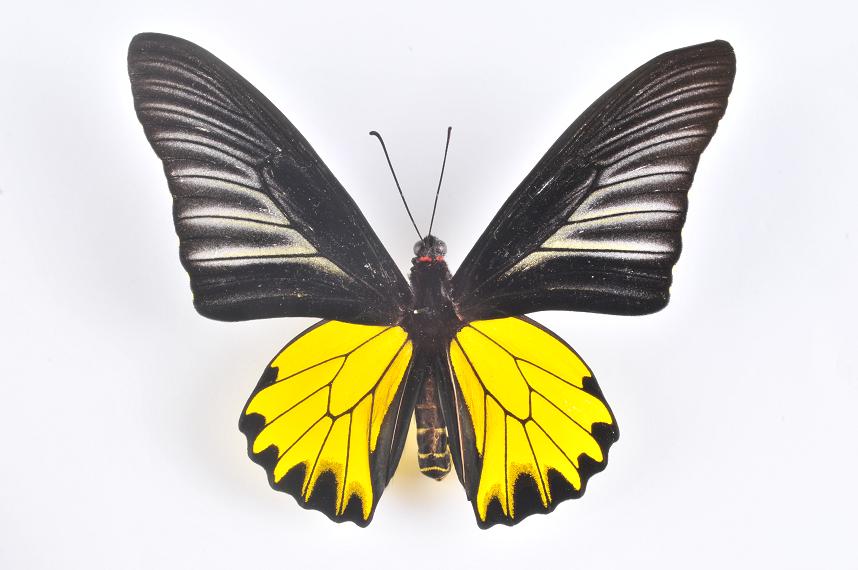 «ö¦¹¦b·sµøµ¡ÂsÄý¹Ï¤ù